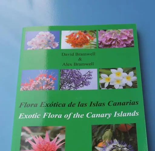 アパート House ロスクリスティアーノス