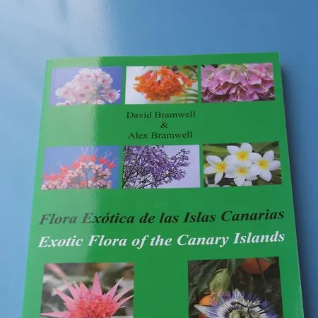 Apartament House Los Cristianos (Tenerife)