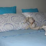 Apartament House *
